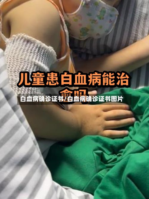 白血病确诊证书/白血病确诊证书图片