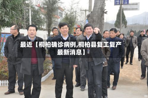 最近【桐柏确诊病例,桐柏县复工复产最新消息】-第3张图片