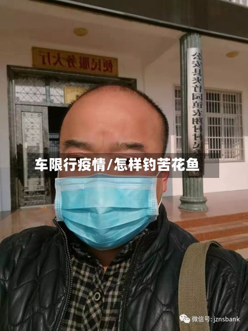 车限行疫情/怎样钓苦花鱼