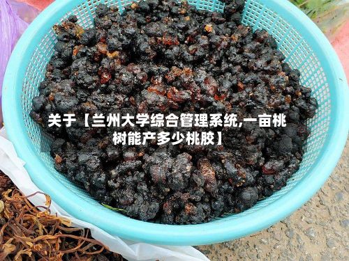 关于【兰州大学综合管理系统,一亩桃树能产多少桃胶】