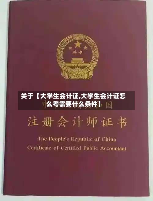 关于【大学生会计证,大学生会计证怎么考需要什么条件】-第3张图片