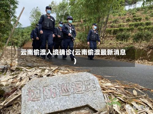 云南偷渡入境确诊(云南偷渡最新消息)-第2张图片