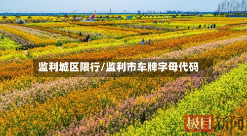 监利城区限行/监利市车牌字母代码