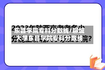东昌学院专科分数线/聊城大学东昌学院专科分数线-第1张图片