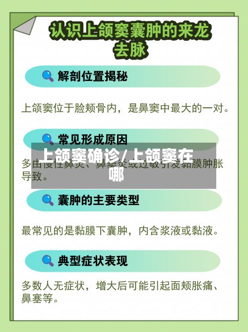 上颌窦确诊/上颌窦在哪