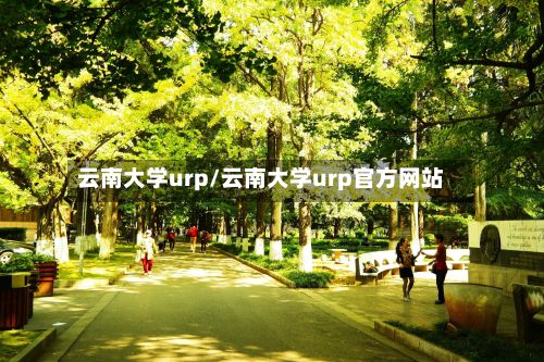 云南大学urp/云南大学urp官方网站