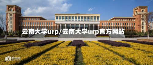 云南大学urp/云南大学urp官方网站-第3张图片