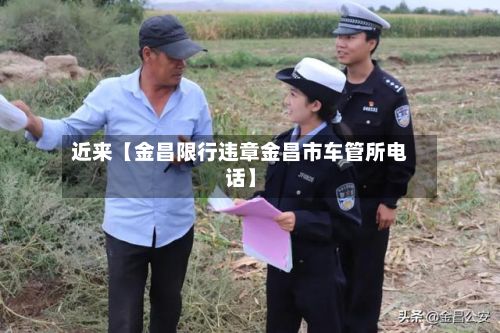 近来【金昌限行违章金昌市车管所电话】-第2张图片