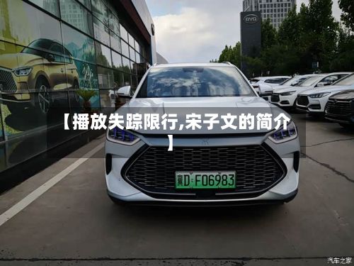 【播放失踪限行,宋子文的简介】