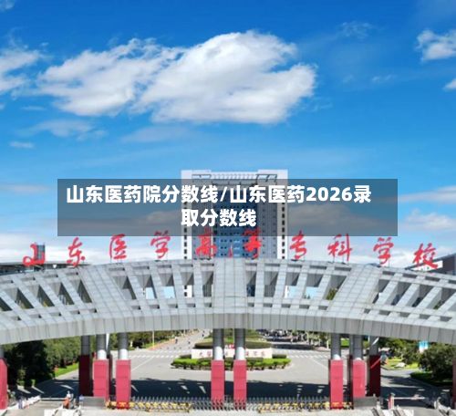 山东医药院分数线/山东医药2026录取分数线