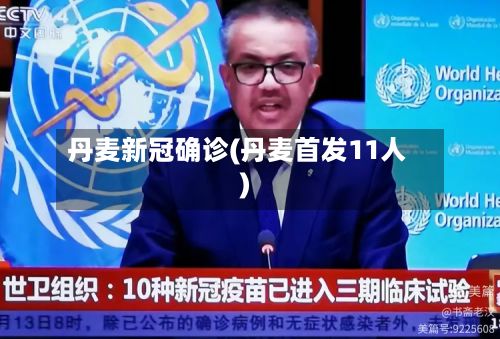 丹麦新冠确诊(丹麦首发11人)