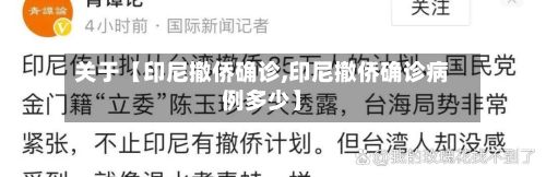 关于【印尼撤侨确诊,印尼撤侨确诊病例多少】-第2张图片