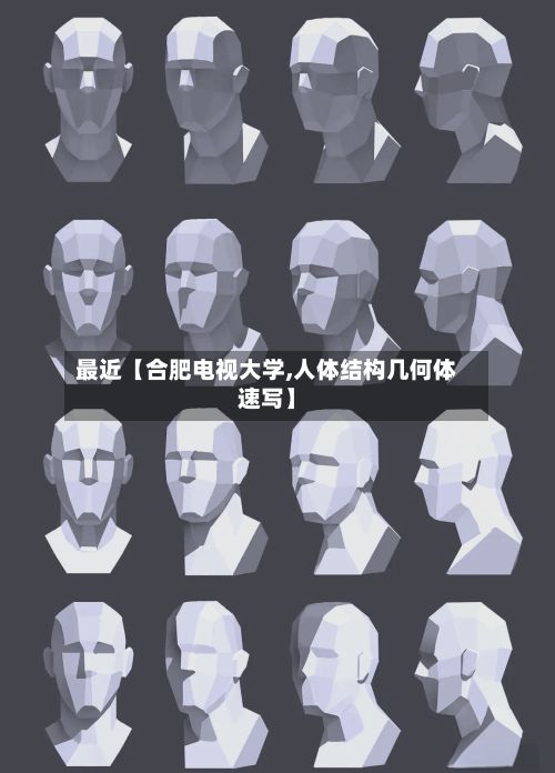 最近【合肥电视大学,人体结构几何体速写】