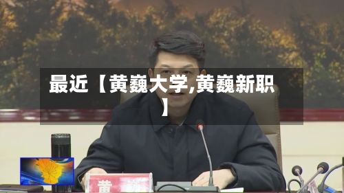 最近【黄巍大学,黄巍新职】-第2张图片
