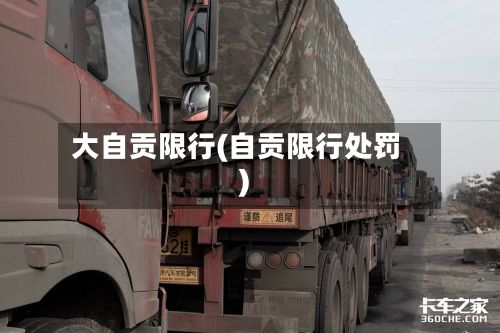 大自贡限行(自贡限行处罚)-第2张图片