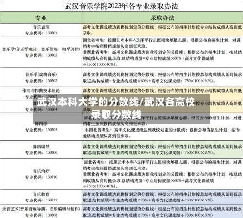 武汉本科大学的分数线/武汉各高校录取分数线