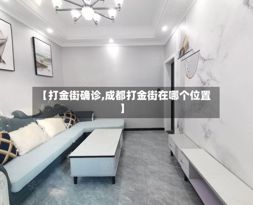 【打金街确诊,成都打金街在哪个位置】-第2张图片
