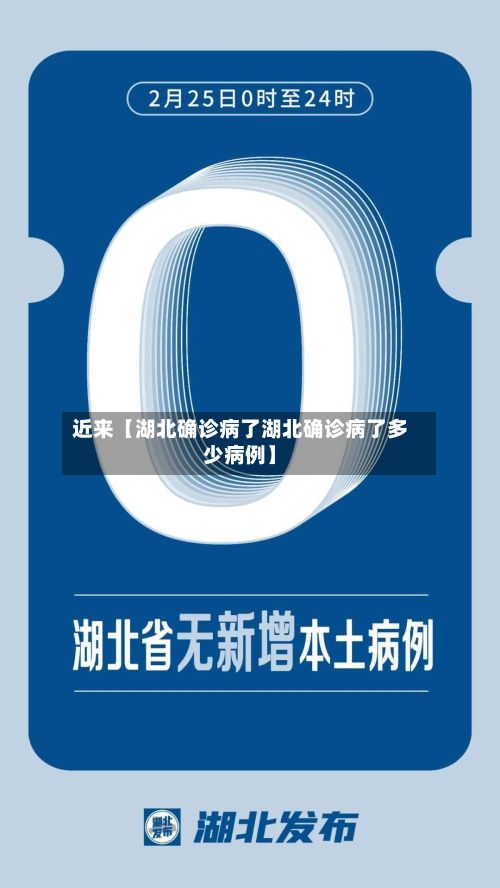 近来【湖北确诊病了湖北确诊病了多少病例】-第3张图片