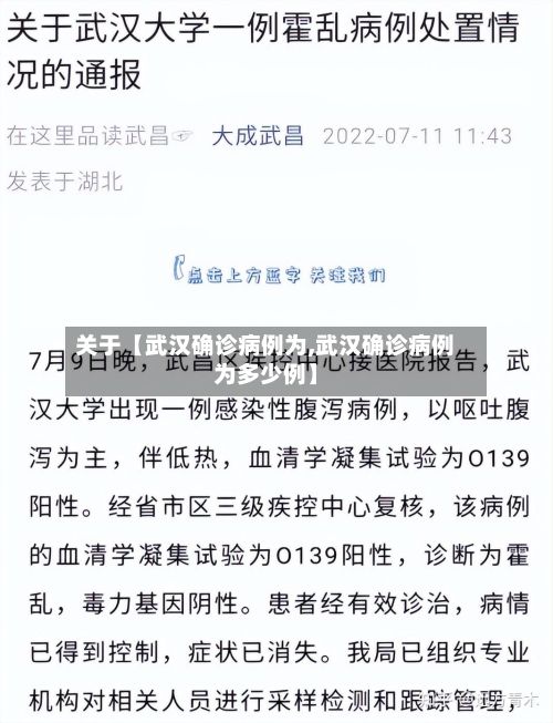 关于【武汉确诊病例为,武汉确诊病例为多少例】-第3张图片
