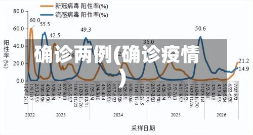 确诊两例(确诊疫情)