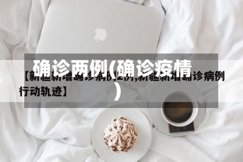 确诊两例(确诊疫情)-第3张图片