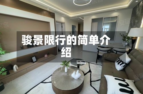 骏景限行的简单介绍