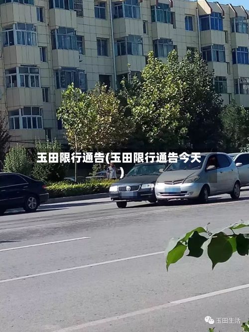玉田限行通告(玉田限行通告今天)