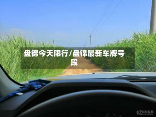 盘锦今天限行/盘锦最新车牌号段-第2张图片