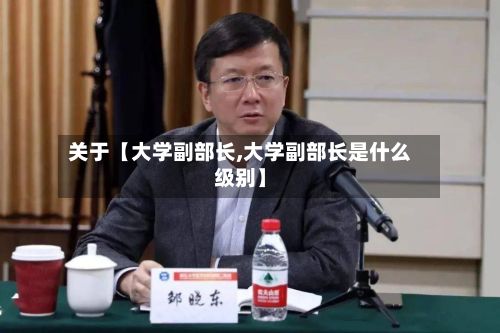 关于【大学副部长,大学副部长是什么级别】