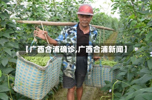 【广西合浦确诊,广西合浦新闻】
