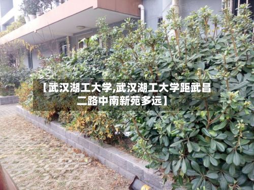 【武汉湖工大学,武汉湖工大学距武昌二路中南新苑多远】-第3张图片