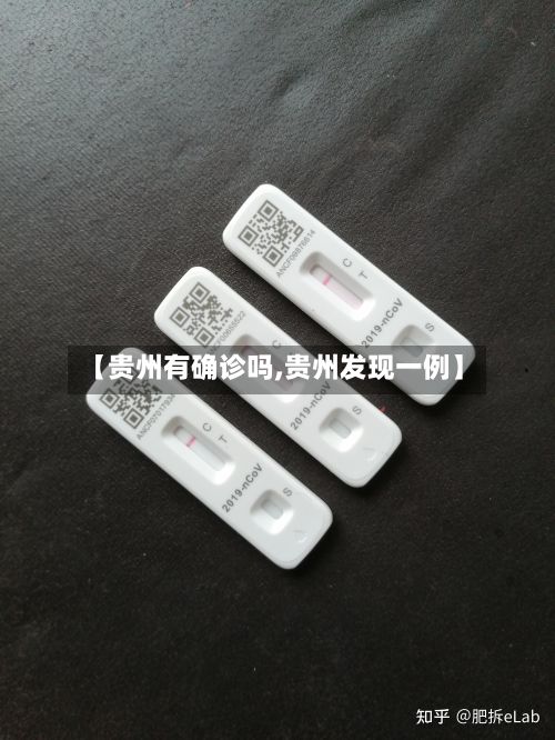 【贵州有确诊吗,贵州发现一例】-第2张图片