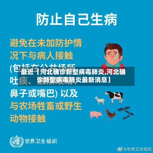 最近【河北确诊新型病毒肺炎,河北确诊新型病毒肺炎最新消息】-第2张图片