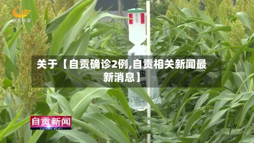 关于【自贡确诊2例,自贡相关新闻最新消息】-第2张图片