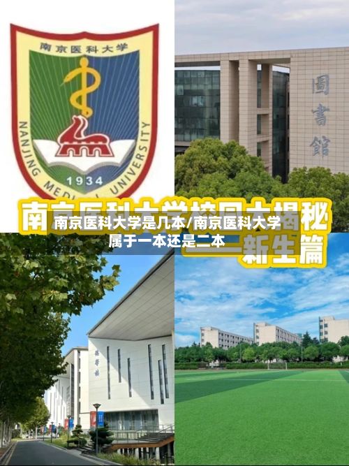 南京医科大学是几本/南京医科大学属于一本还是二本-第2张图片