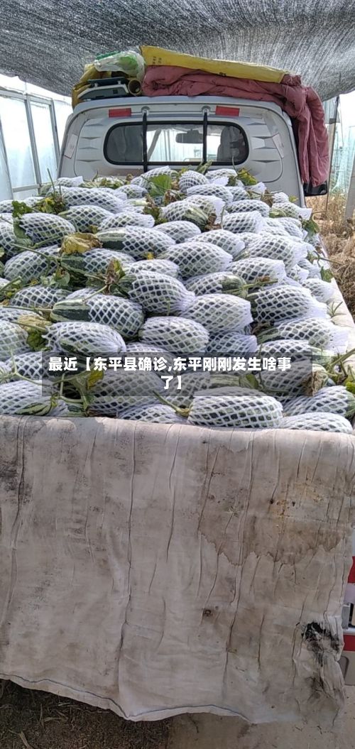 最近【东平县确诊,东平刚刚发生啥事了】