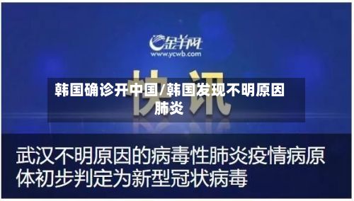 韩国确诊开中国/韩国发现不明原因肺炎
