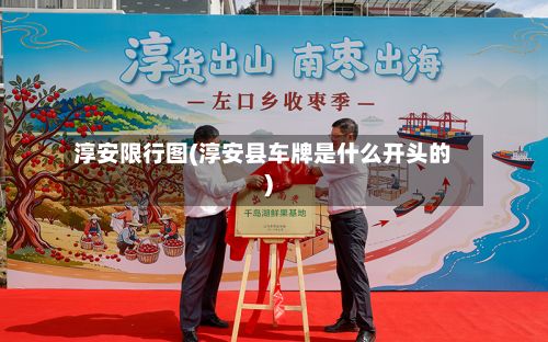 淳安限行图(淳安县车牌是什么开头的)