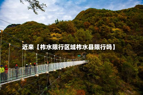 近来【柞水限行区域柞水县限行吗】-第2张图片