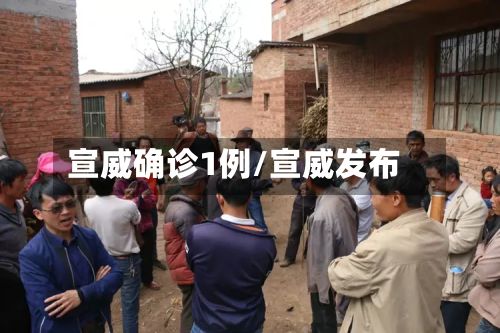 宣威确诊1例/宣威发布
