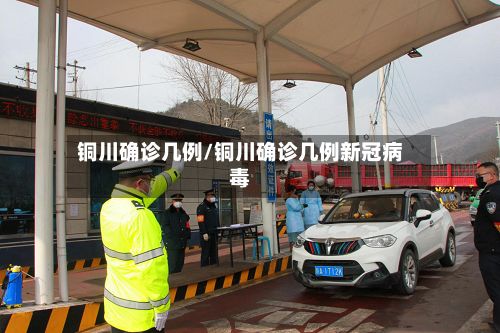 铜川确诊几例/铜川确诊几例新冠病毒