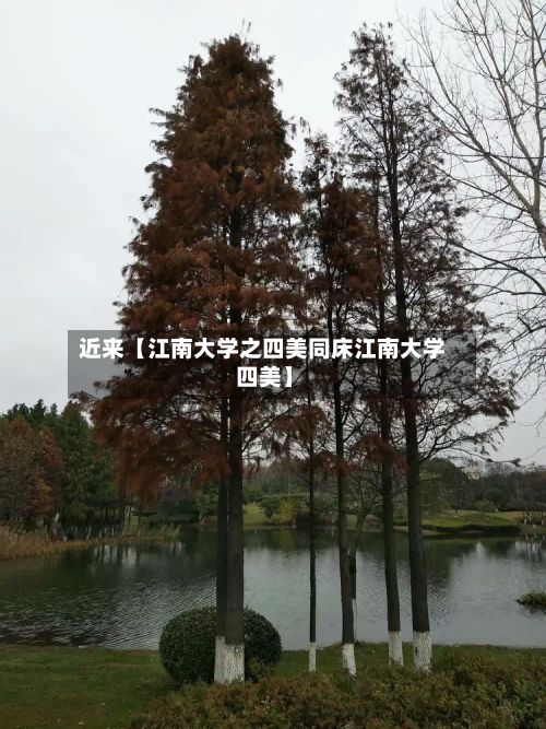 近来【江南大学之四美同床江南大学 四美】-第3张图片