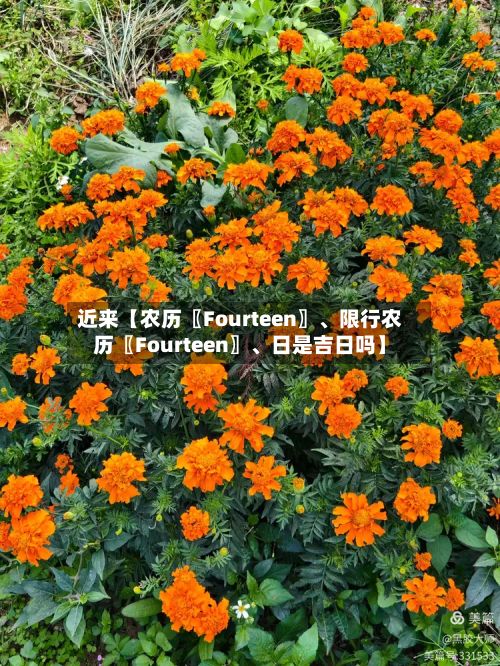 近来【农历〖Fourteen〗、限行农历〖Fourteen〗	、日是吉日吗】-第3张图片