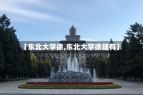 【东北大学徐,东北大学徐建有】