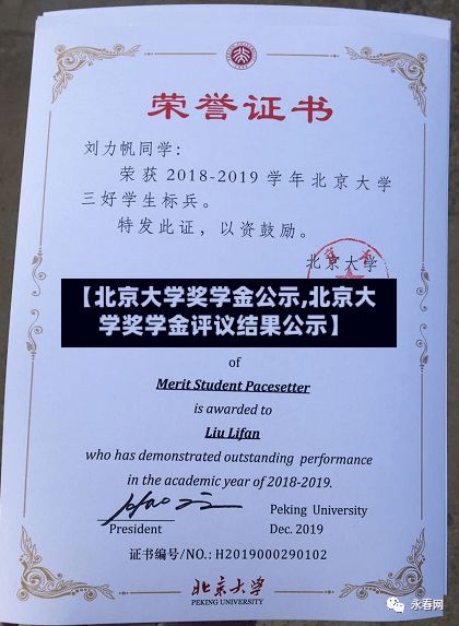 【北京大学奖学金公示,北京大学奖学金评议结果公示】-第2张图片
