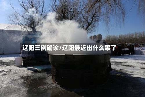 辽阳三例确诊/辽阳最近出什么事了