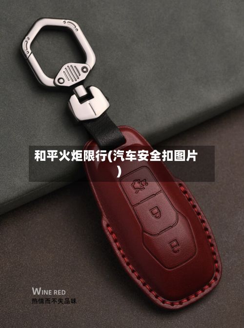和平火炬限行(汽车安全扣图片)