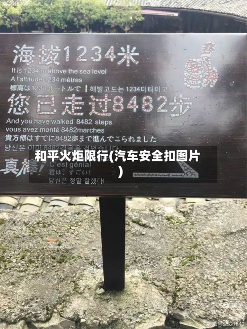 和平火炬限行(汽车安全扣图片)-第3张图片