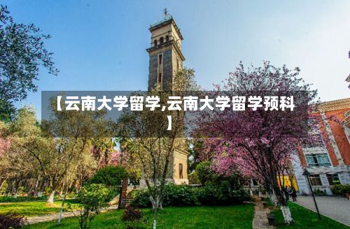 【云南大学留学,云南大学留学预科】-第2张图片