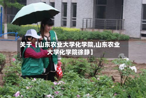 关于【山东农业大学化学院,山东农业大学化学院徐静】-第3张图片
